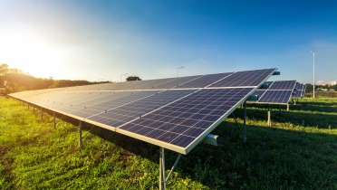 JESS genoemd in Trouw (24-02) over zonneweides