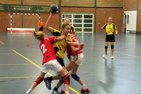 Handbal-Hollandia-T