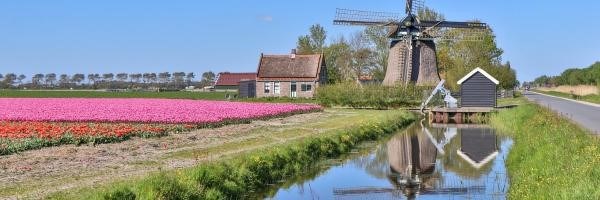 Sint Maartensbrug